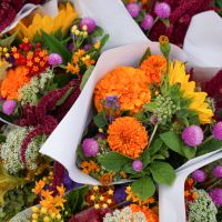 10 Autumn Flowers to FALL in Love With